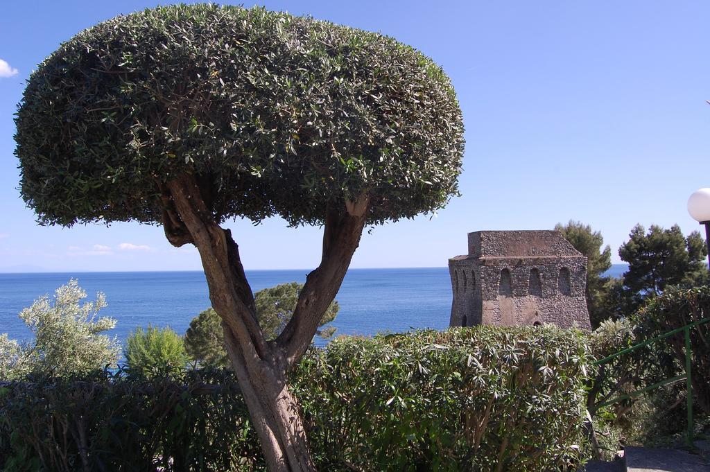Torre Turbolo Apartments マッサ・ルブレンセ エクステリア 写真